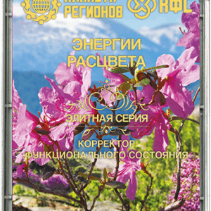 KFSZ "A VIRÁGBA BORULÁS ENERGIÁI"