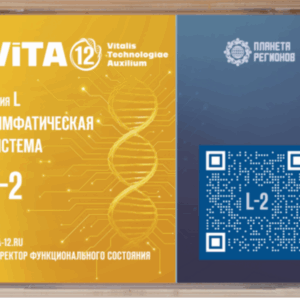 „L2” – Nyirokrendszer