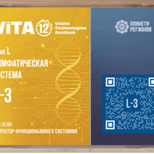 „L3” – Nyirokrendszer